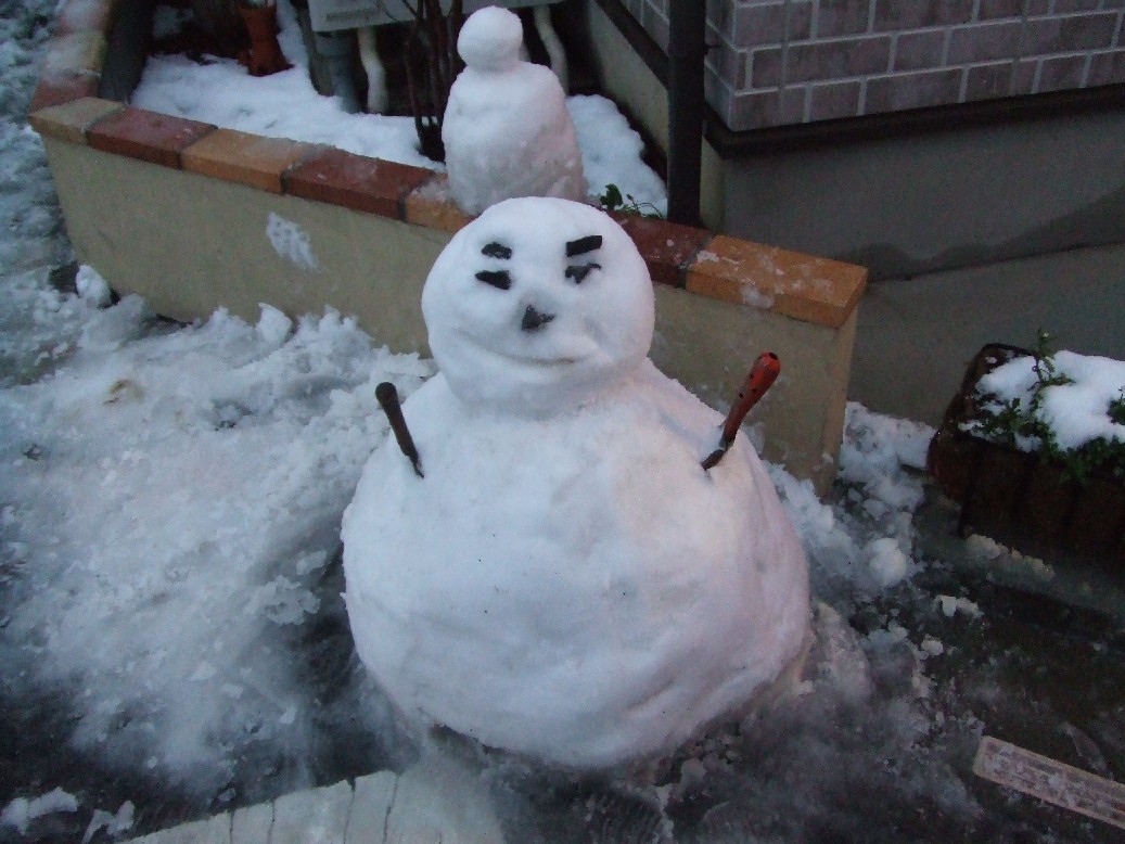 2008_02030068.JPG 1.jpg