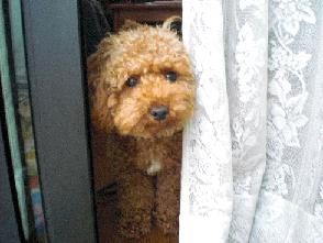 何やってんの？