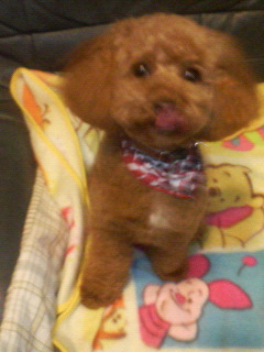 だめだめ動いちゃ