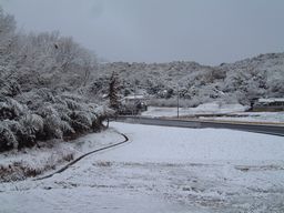 雪景色.jpg