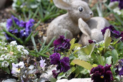 18 リンゴの下の花壇.jpg