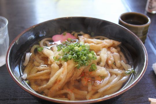 １３牛蒡天うどん.jpg