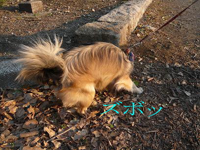 ビスケットじぃちゃんと2