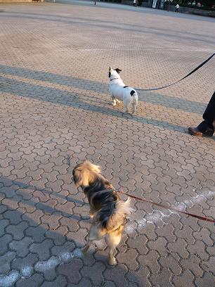 ビスケットじぃちゃんと3