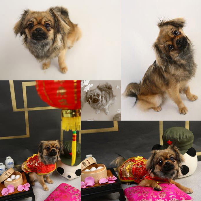 チョコビ撮影会4