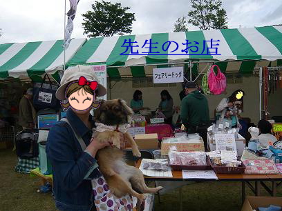 ドックランフェスタ2