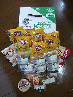 ドックランフェスタ5