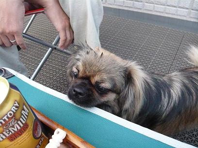 天気良くない・・・1