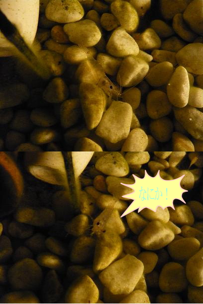 天気良くない・・・3