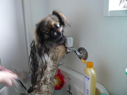 天気良くない・・・5