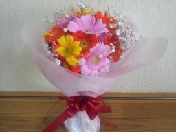 きれいだなぁ。