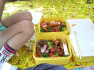 お弁当タイム