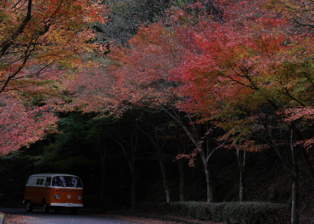 @IMG_2156 紅葉＆愛車.jpg