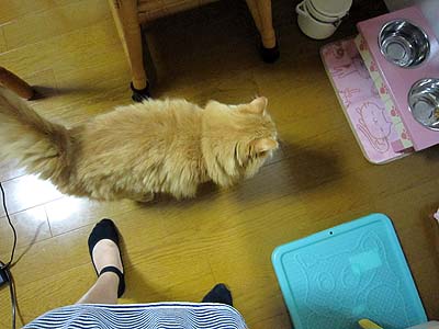 ねね014.jpg