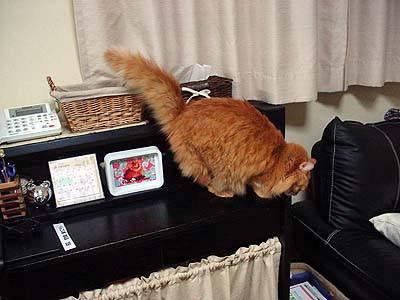 ねね007.jpg