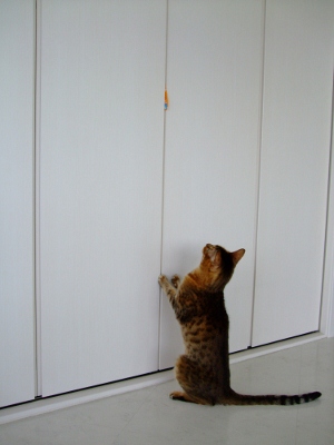DSCF1548 (300x400).jpg