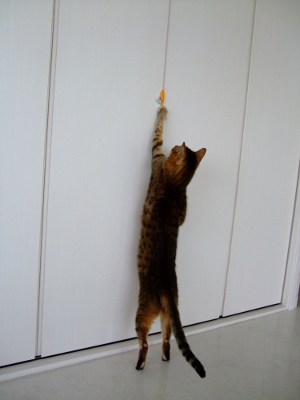 DSCF1536 (300x400).jpg