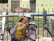 P1000341.jpg