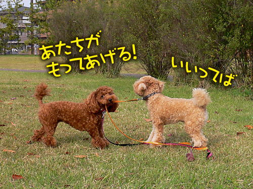 kintia_081022_02.jpg