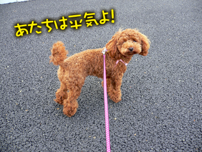 kintia_081105_02.jpg