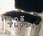 プレゼント