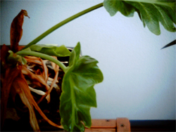 最近作ったもの