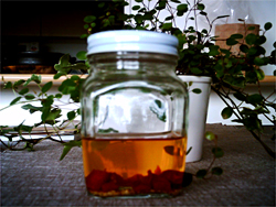 最近作ったもの