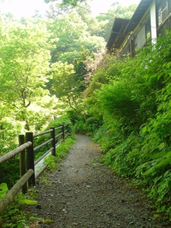 駐車場からの小道