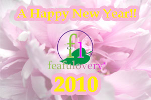 newyear2010.jpg