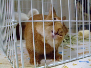 だせ～
