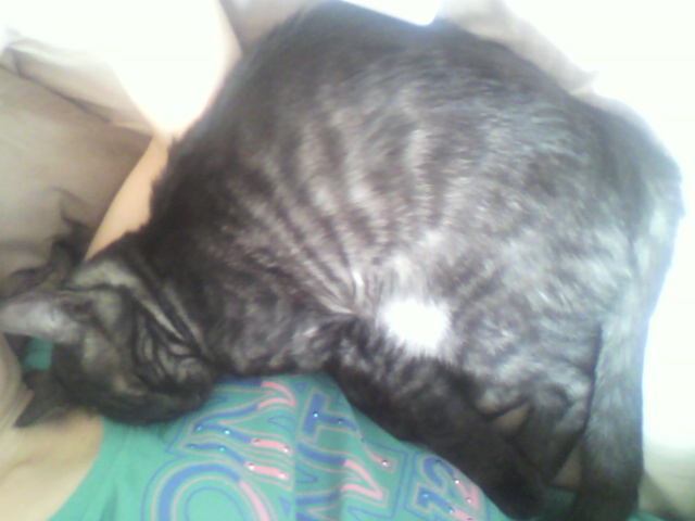 祝☆５カ月誕生日パーティ（４）