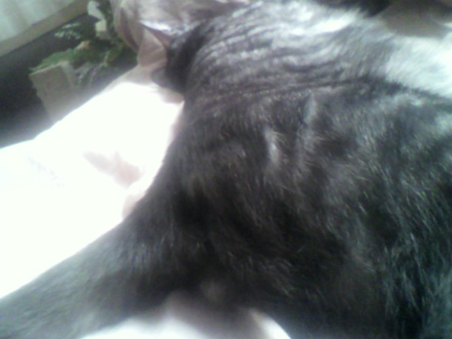 祝☆５カ月誕生日パーティ（５）