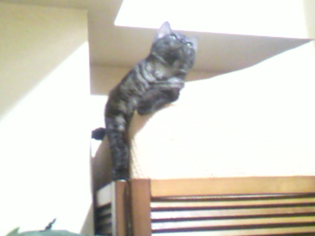 祝☆５カ月誕生日パーティ（８）