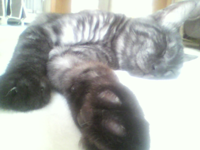 祝☆５カ月誕生日パーティ（９）