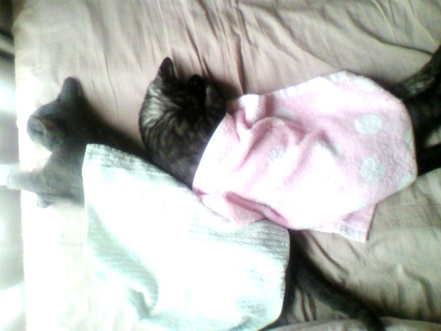 夏でも一緒♪（１）