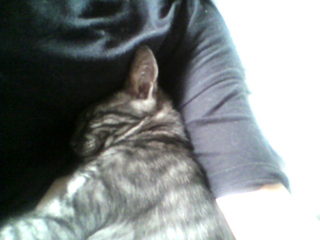 夏でも一緒♪（２）