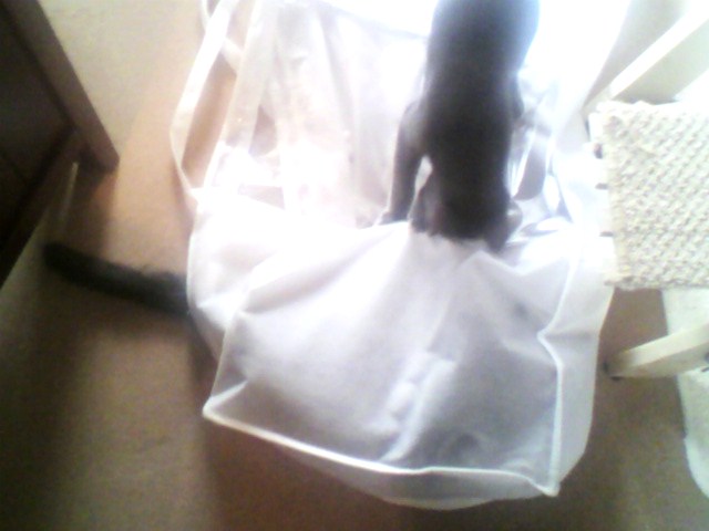 夏でも一緒（オマケ）