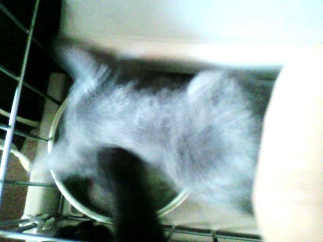 水死事件（３）