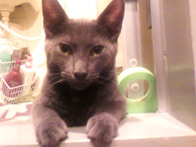 イケメンの証明＠正面よつば