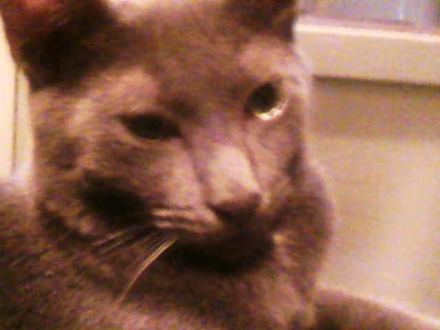 イケメンの証明＠眠たいよつば