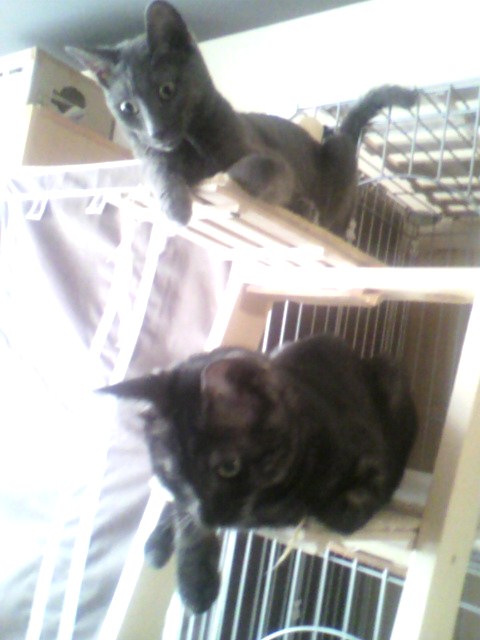 祝☆５カ月誕生日パーティ（２）