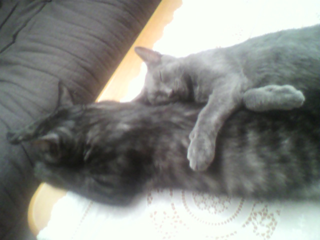 祝☆５カ月誕生日パーティ（3）