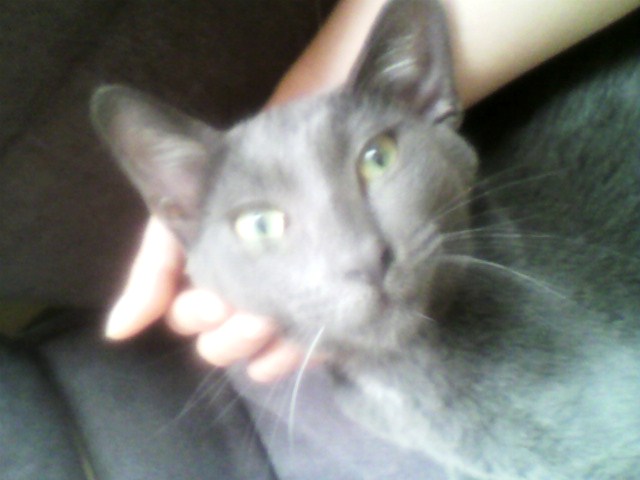 甘えてるのか？単にカユイのか？（３）