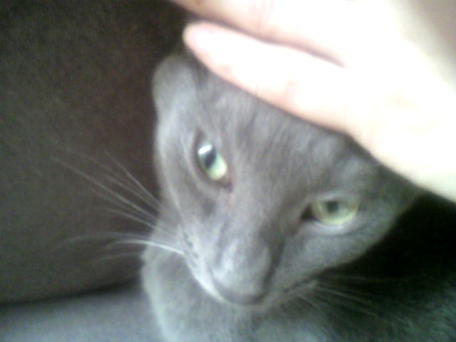 甘えてるのか？単にカユイのか？（４）