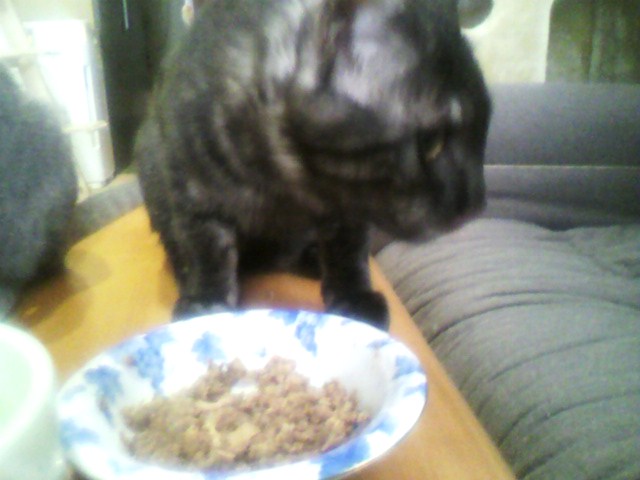 実食！黒缶パウチ（２）