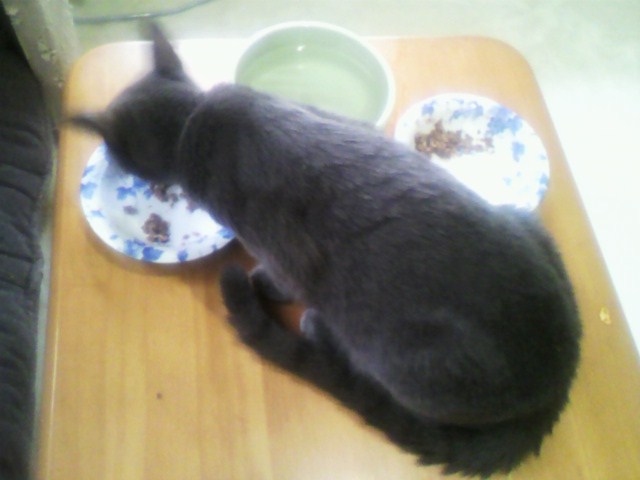 実食！黒缶パウチ（３）