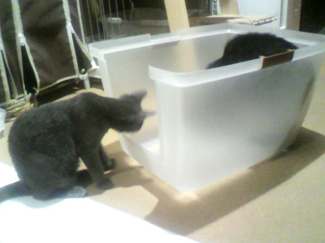 新・トイレ事件（５）