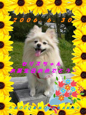 7/8b
