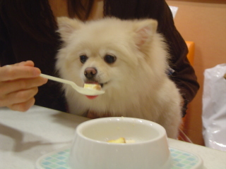 おやつ