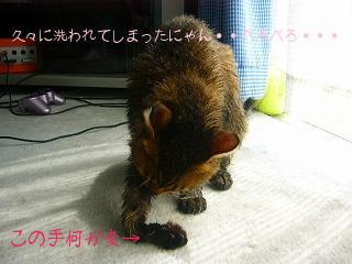 水もしたたる・・？？